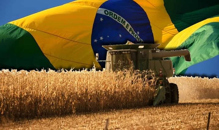 Colheitadeira operando em lavoura de grãos com uma grande bandeira do Brasil ao fundo