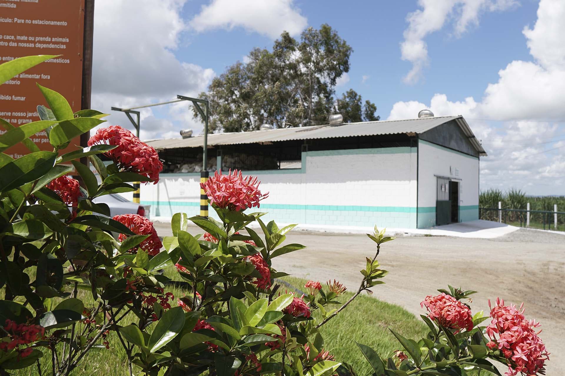 Unidade da ARPAN cercada por vegetação típica do Nordeste
